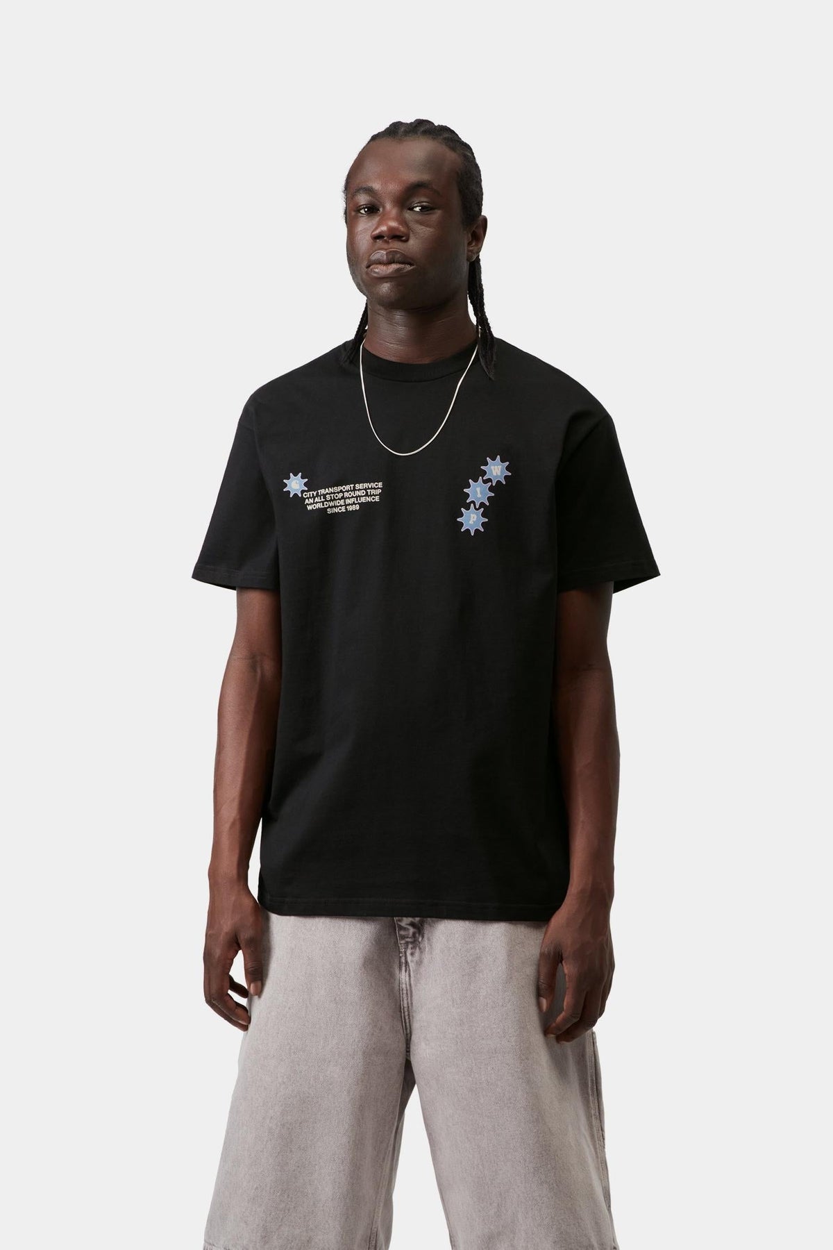 Carhartt WIP Classic | C Trip T-Shirt