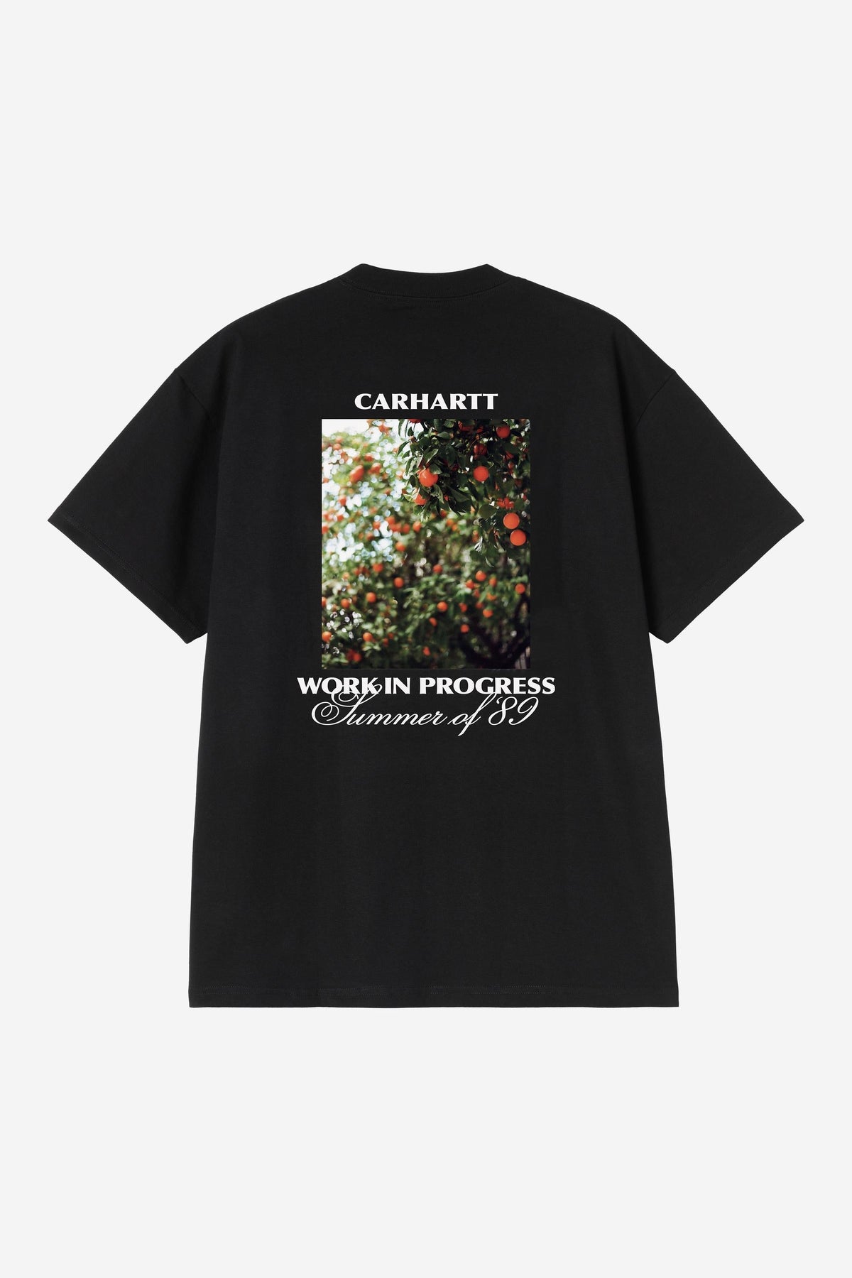 Carhartt WIP Signature | Warm Views T-Shirt